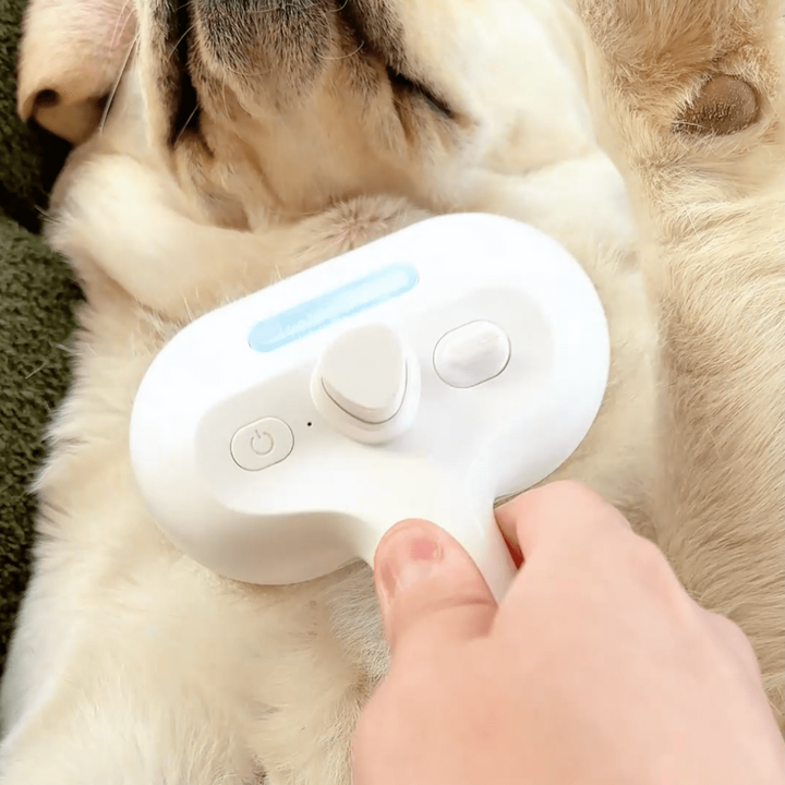 BrushPaw Steam Brush for Dogs