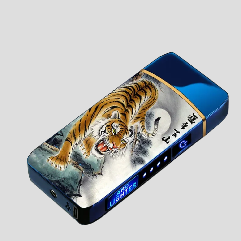 Electronic Windproof Lighter Ignition Solution