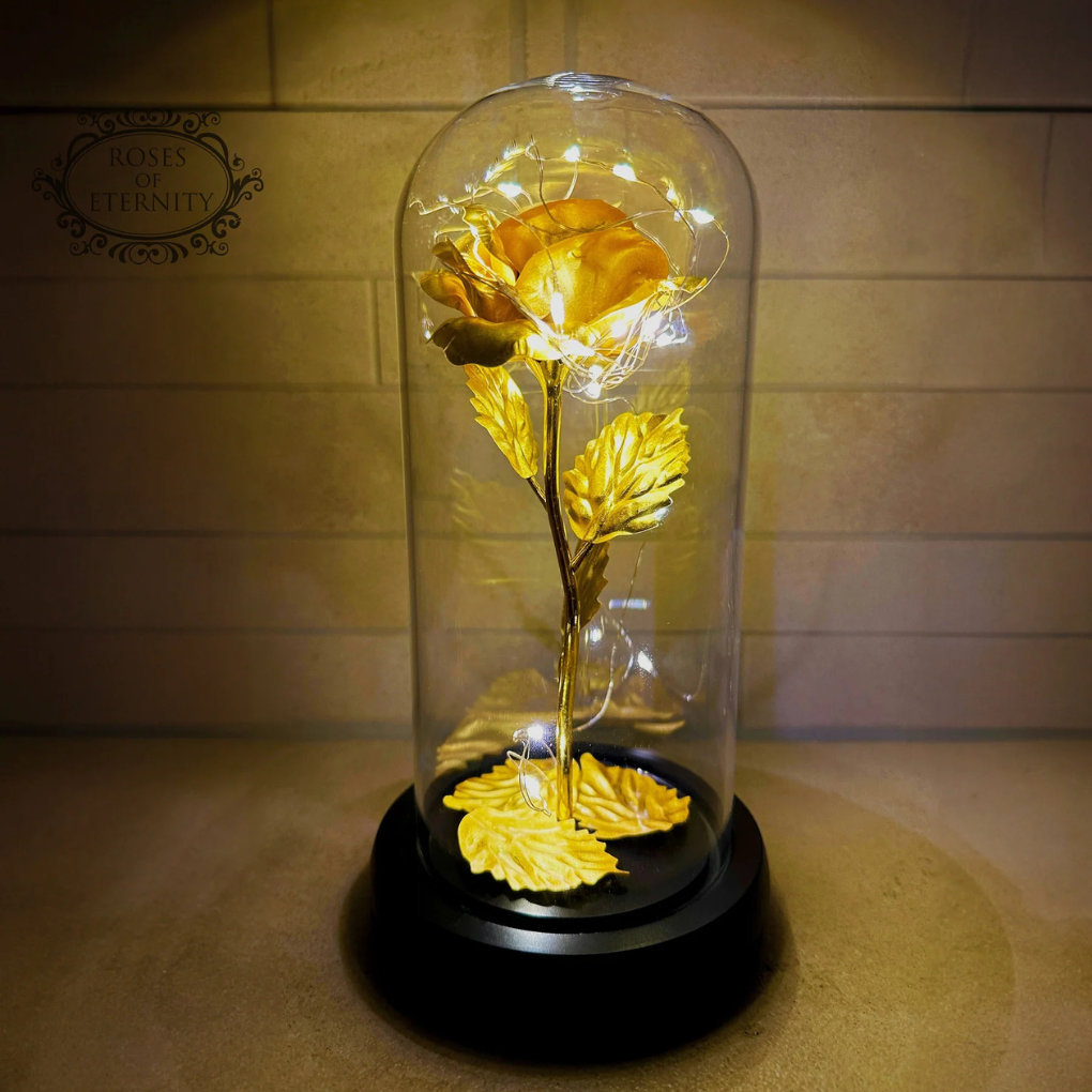 Eternal Rose with Led Light in Glass Dome