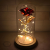 Eternal Rose with Led Light in Glass Dome