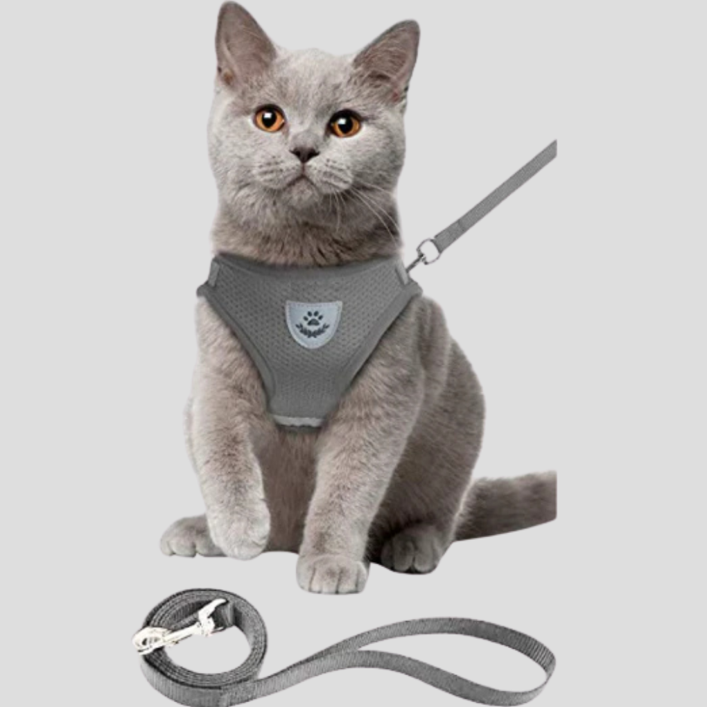 Cat Harness with Leash