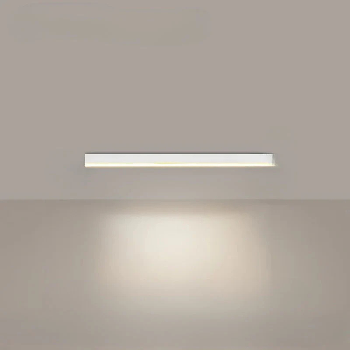 Modern LED Ceiling Lamp