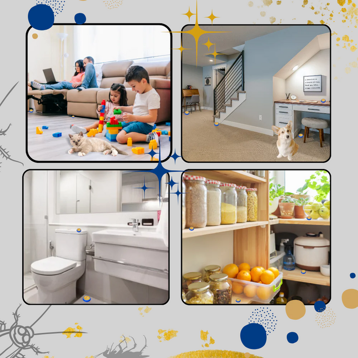 Odorless Cockroach Traps – Discreet Pest Control Solution