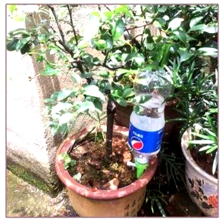 Automatic Plant Watering Spikes (Pack of 12) – Adjustable Flow Garden Aid