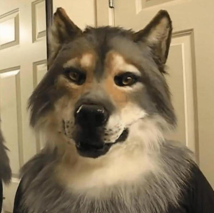 Realistic Wolf Mask