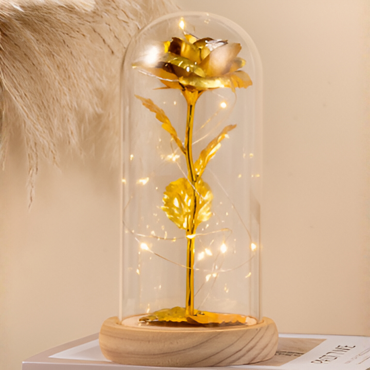 Eternal Rose with Led Light in Glass Dome