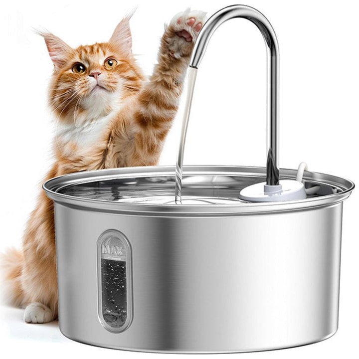 Stainless Steel Water Fountain for Cats & Small Dogs