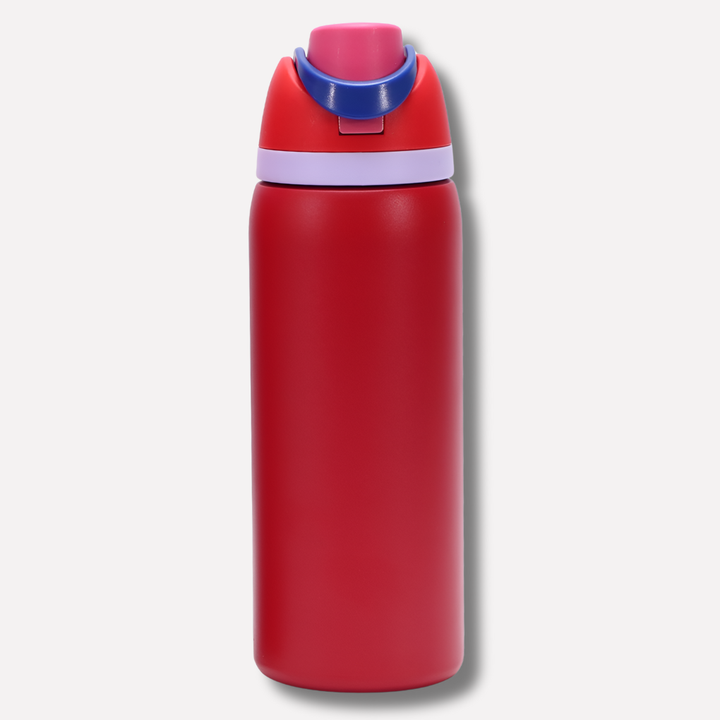 LeakProof Insulated Stainless Steel Bottle with Straw
