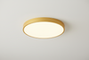 Round LED Ceiling Light