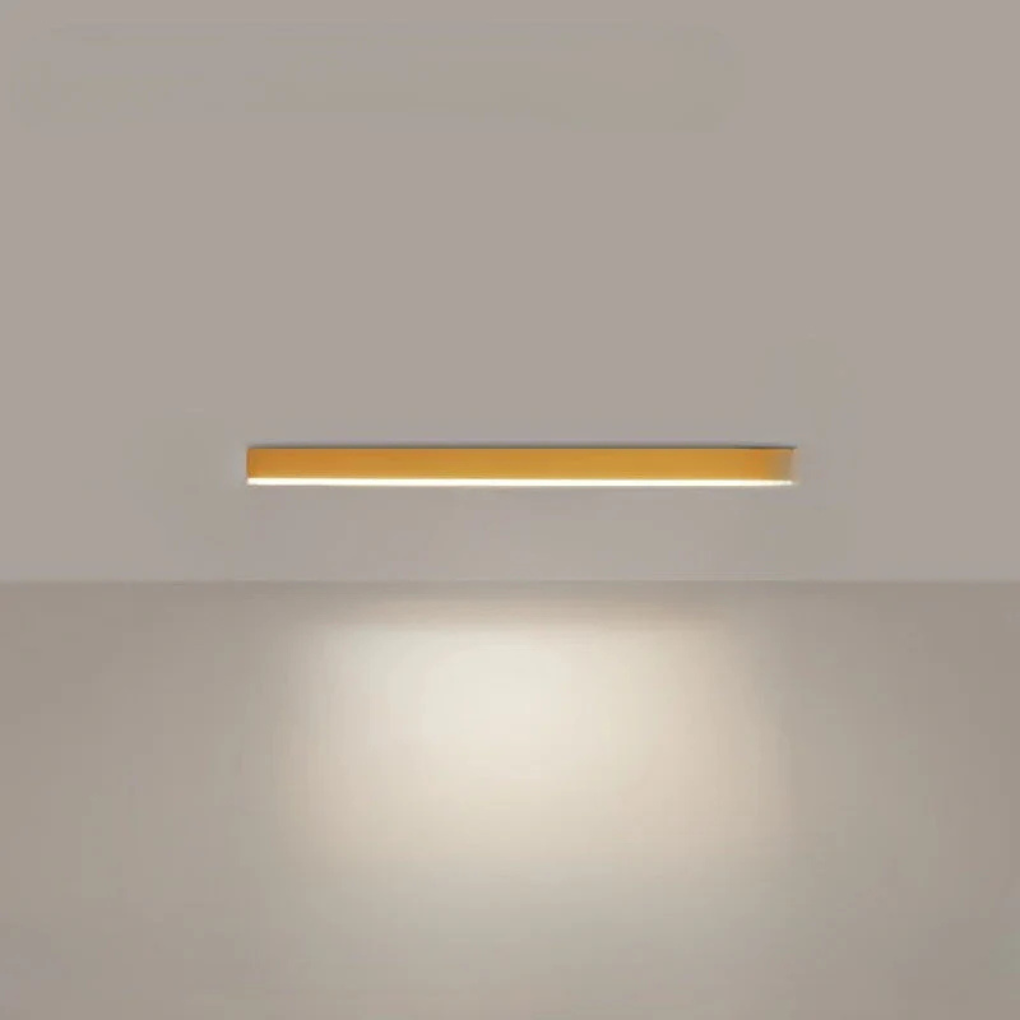 Modern LED Ceiling Lamp