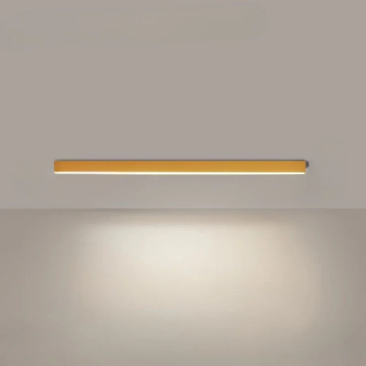 Modern LED Ceiling Lamp