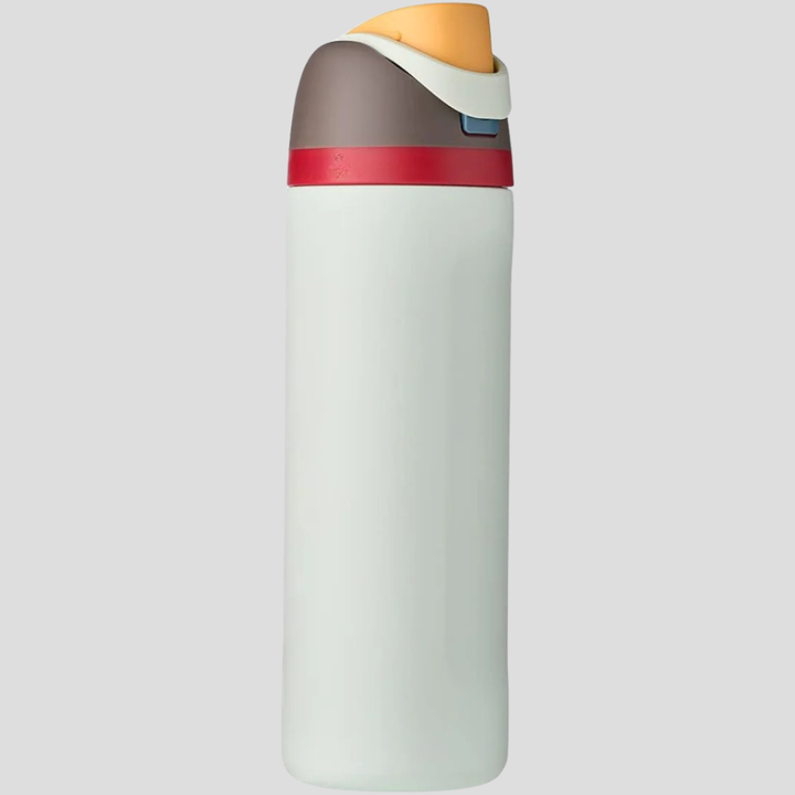 LeakProof Insulated Stainless Steel Bottle with Straw
