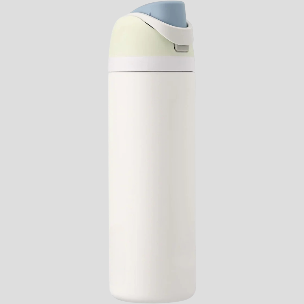 LeakProof Insulated Stainless Steel Bottle with Straw