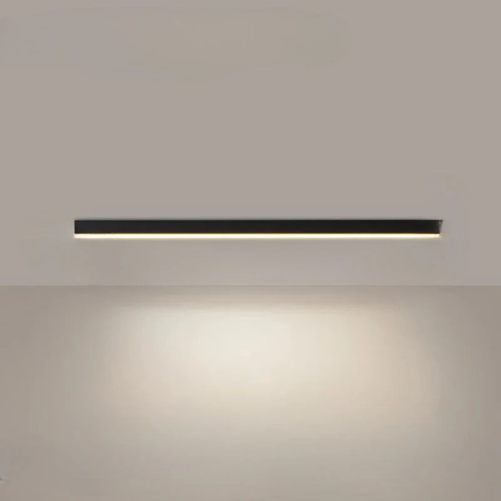 Modern LED Ceiling Lamp